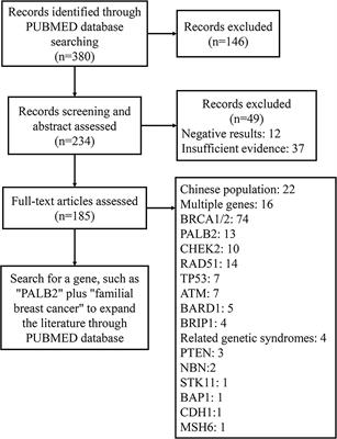 Familial Breast Cancer: Disease Related Gene Mutations and Screening Strategies for Chinese Population